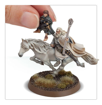 Lord of the Rings: Gandalf the White and Peregrin Took ()